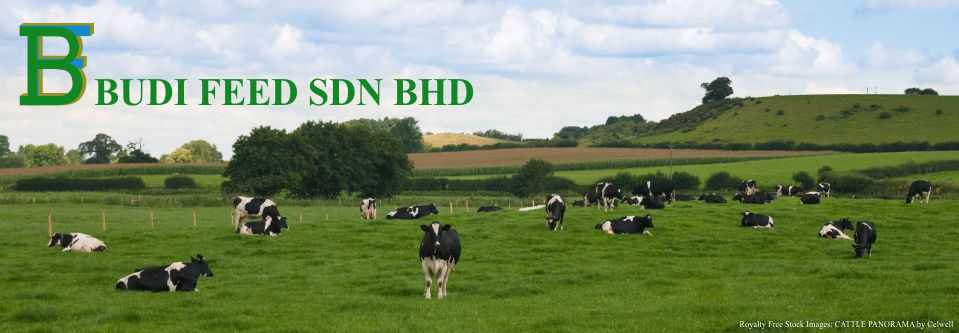 Budi Feed Sdn. Bhd.